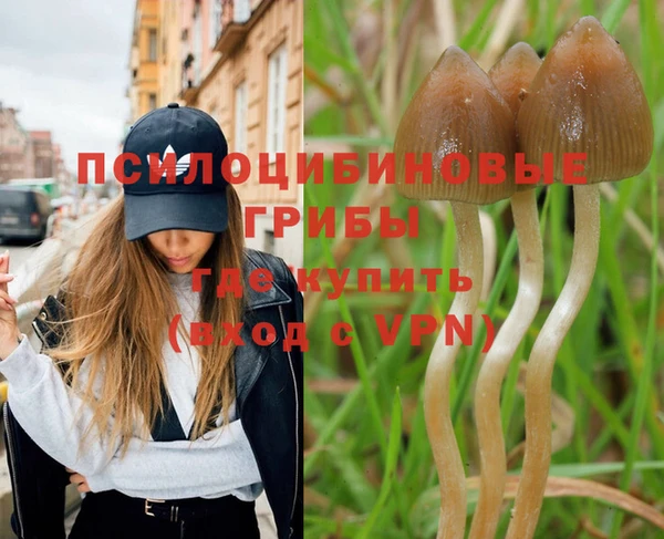 дмт Балабаново