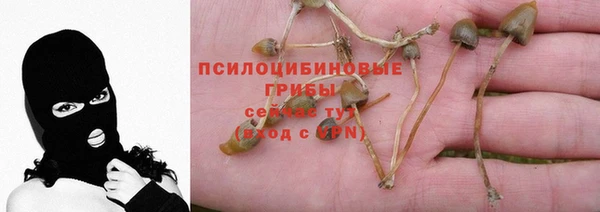 2c-b Балахна