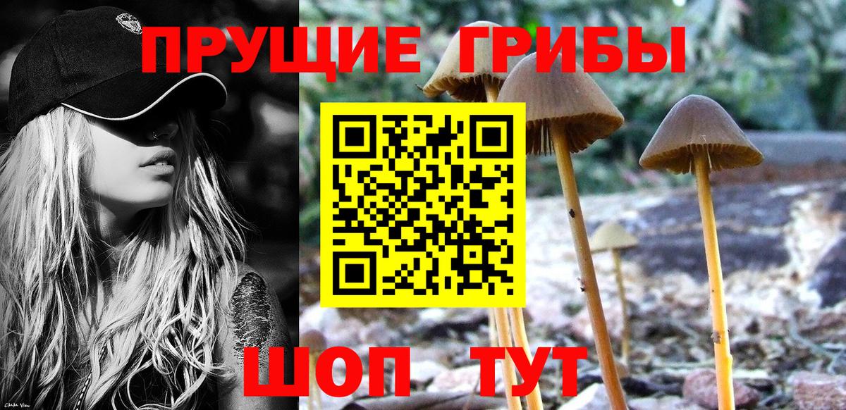 Псилоцибиновые грибы MAGIC MUSHROOMS  Псилоцибиновые грибы мицелий  Белово 