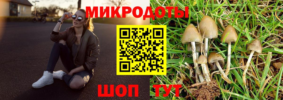 Галлюциногенные грибы Psilocybe  Галлюциногенные грибы Cubensis  Вход с VPN  Белово 