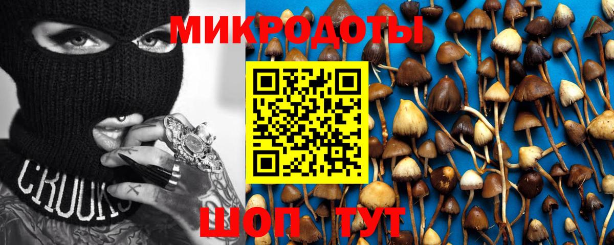 Галлюциногенные грибы Psilocybe Белово